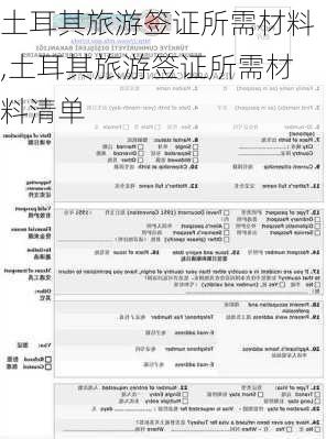 土耳其旅游签证所需材料,土耳其旅游签证所需材料清单