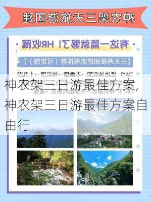 神农架三日游最佳方案,神农架三日游最佳方案自由行-第1张图片-豌豆旅游网