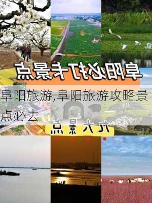 阜阳旅游,阜阳旅游攻略景点必去-第2张图片-豌豆旅游网