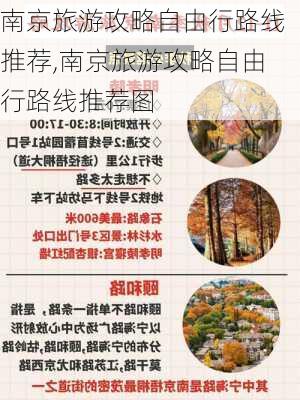 南京旅游攻略自由行路线推荐,南京旅游攻略自由行路线推荐图-第3张图片-豌豆旅游网