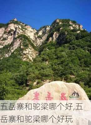 五岳寨和驼梁哪个好,五岳寨和驼梁哪个好玩-第2张图片-豌豆旅游网