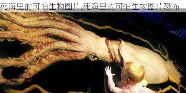 死海里的可怕生物图片,死海里的可怕生物图片恐怖-第1张图片-豌豆旅游网