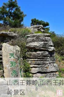 山西王莽岭,山西王莽岭景区-第3张图片-豌豆旅游网