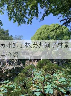 苏州狮子林,苏州狮子林景点介绍-第3张图片-豌豆旅游网