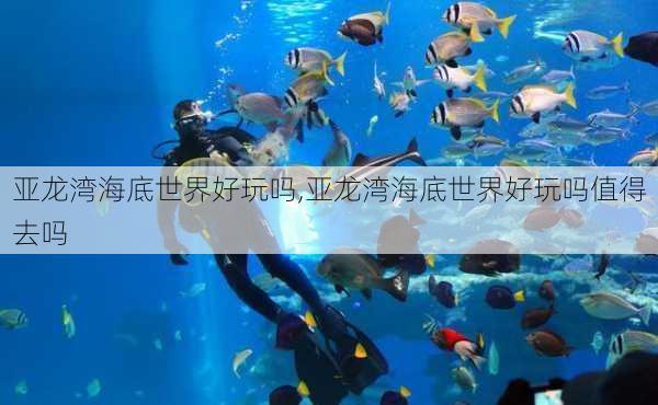 亚龙湾海底世界好玩吗,亚龙湾海底世界好玩吗值得去吗-第2张图片-豌豆旅游网