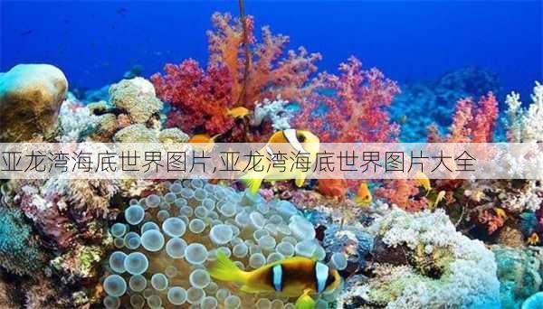 亚龙湾海底世界图片,亚龙湾海底世界图片大全-第1张图片-豌豆旅游网