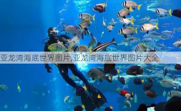 亚龙湾海底世界图片,亚龙湾海底世界图片大全-第2张图片-豌豆旅游网