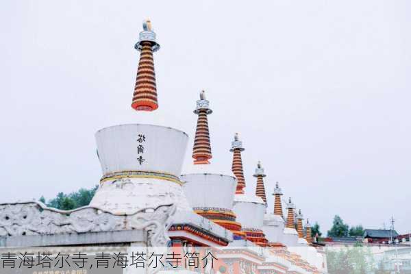 青海塔尔寺,青海塔尔寺简介-第2张图片-豌豆旅游网