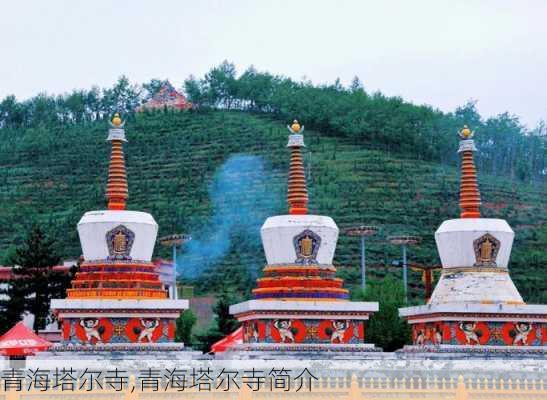 青海塔尔寺,青海塔尔寺简介-第3张图片-豌豆旅游网