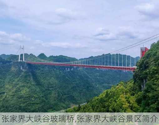 张家界大峡谷玻璃桥,张家界大峡谷景区简介-第1张图片-豌豆旅游网