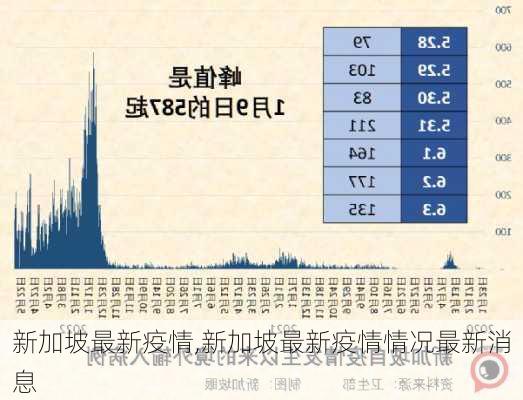 新加坡最新疫情,新加坡最新疫情情况最新消息-第1张图片-豌豆旅游网