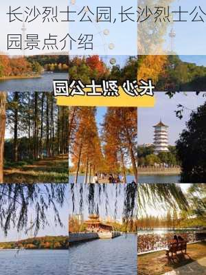 长沙烈士公园,长沙烈士公园景点介绍-第2张图片-豌豆旅游网