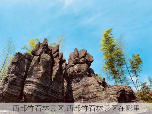 西部竹石林景区,西部竹石林景区在哪里-第1张图片-豌豆旅游网