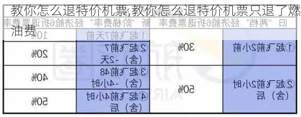 教你怎么退特价机票,教你怎么退特价机票只退了燃油费-第2张图片-豌豆旅游网