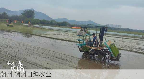 潮州,潮州日绅农业