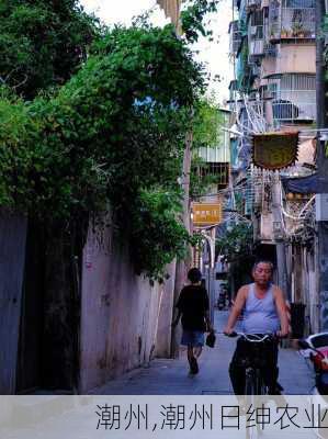 潮州,潮州日绅农业-第2张图片-豌豆旅游网