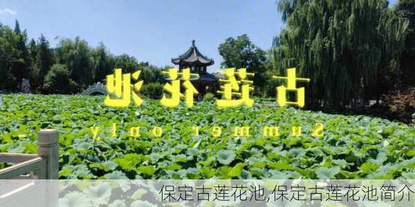 保定古莲花池,保定古莲花池简介-第3张图片-豌豆旅游网