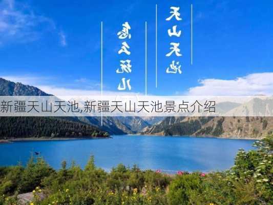 新疆天山天池,新疆天山天池景点介绍-第2张图片-豌豆旅游网