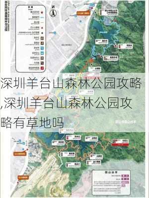 深圳羊台山森林公园攻略,深圳羊台山森林公园攻略有草地吗