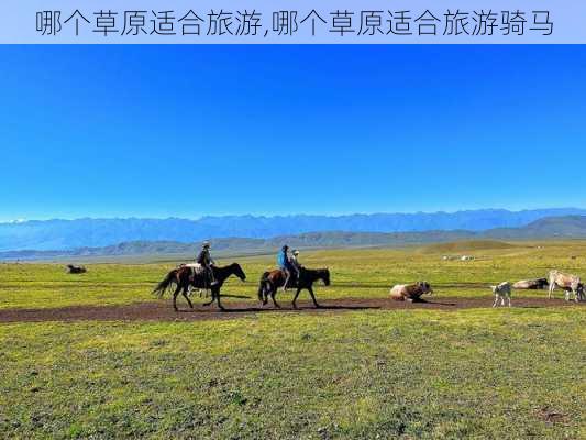 哪个草原适合旅游,哪个草原适合旅游骑马-第2张图片-豌豆旅游网