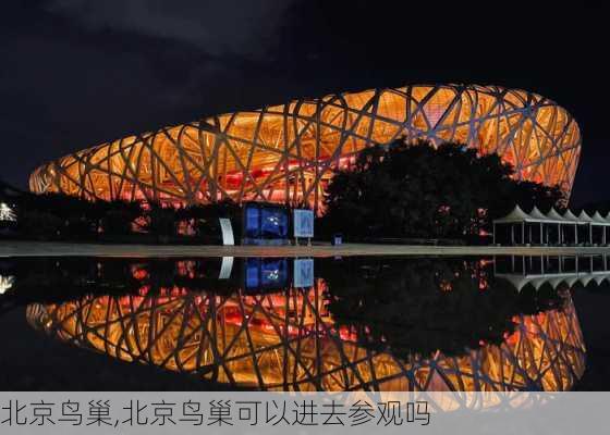 北京鸟巢,北京鸟巢可以进去参观吗