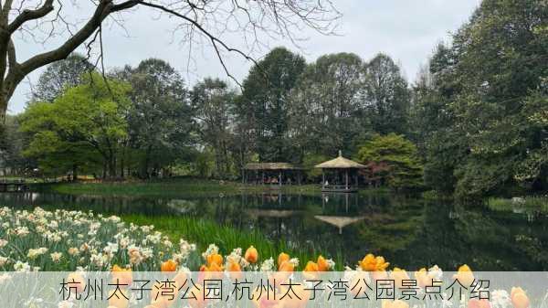 杭州太子湾公园,杭州太子湾公园景点介绍-第3张图片-豌豆旅游网