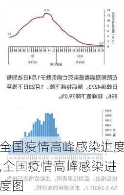 全国疫情高峰感染进度,全国疫情高峰感染进度图-第1张图片-豌豆旅游网