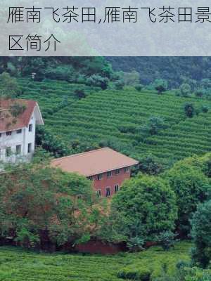 雁南飞茶田,雁南飞茶田景区简介-第1张图片-豌豆旅游网