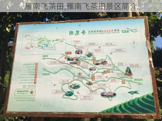 雁南飞茶田,雁南飞茶田景区简介-第2张图片-豌豆旅游网