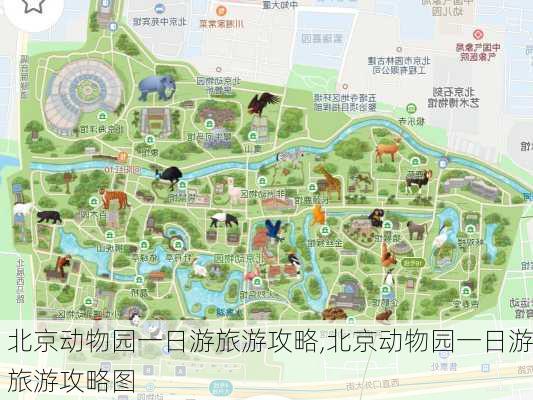 北京动物园一日游旅游攻略,北京动物园一日游旅游攻略图-第2张图片-豌豆旅游网