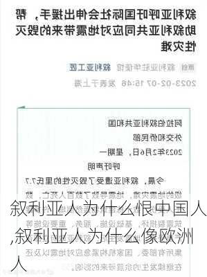 叙利亚人为什么恨中国人,叙利亚人为什么像欧洲人-第1张图片-豌豆旅游网