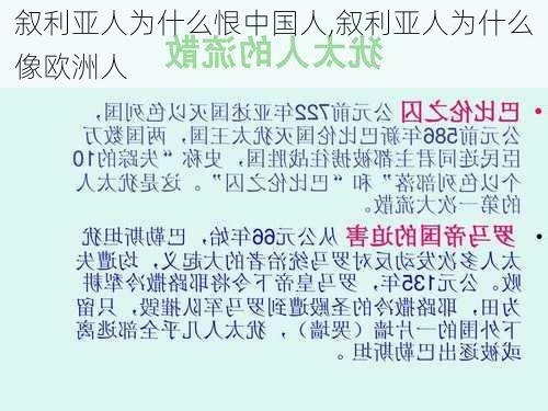 叙利亚人为什么恨中国人,叙利亚人为什么像欧洲人-第2张图片-豌豆旅游网