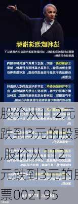 股价从112元跌到3元的股票,股价从112元跌到3元的股票002195-第1张图片-豌豆旅游网