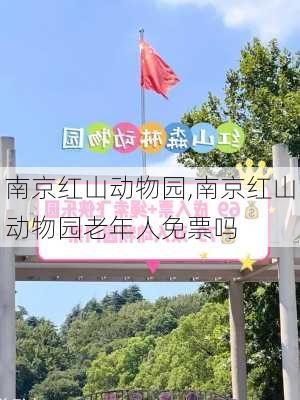 南京红山动物园,南京红山动物园老年人免票吗-第1张图片-豌豆旅游网