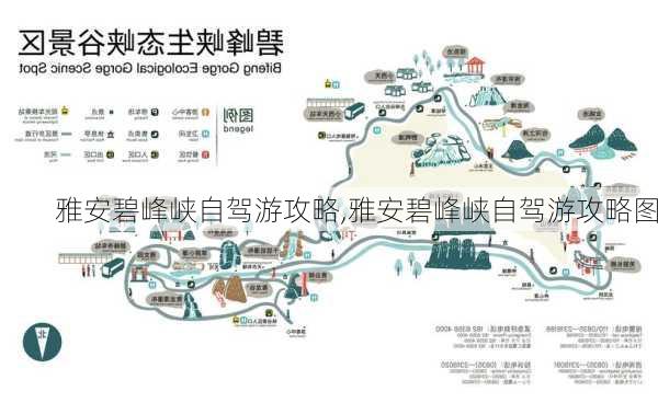 雅安碧峰峡自驾游攻略,雅安碧峰峡自驾游攻略图-第2张图片-豌豆旅游网