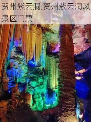 贺州紫云洞,贺州紫云洞风景区门票-第2张图片-豌豆旅游网