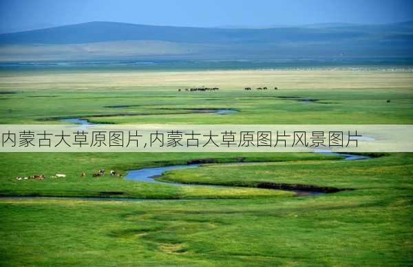 内蒙古大草原图片,内蒙古大草原图片风景图片-第2张图片-豌豆旅游网