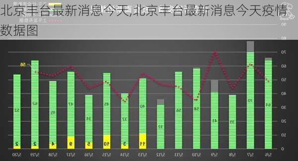 北京丰台最新消息今天,北京丰台最新消息今天疫情数据图-第2张图片-豌豆旅游网