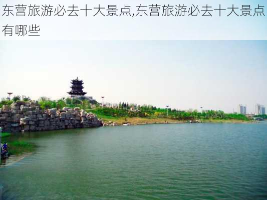 东营旅游必去十大景点,东营旅游必去十大景点有哪些-第2张图片-豌豆旅游网