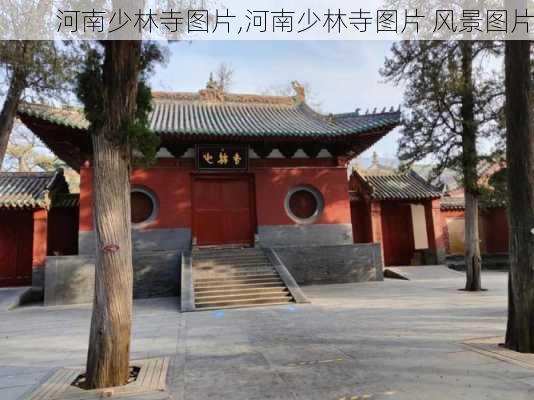 河南少林寺图片,河南少林寺图片 风景图片-第3张图片-豌豆旅游网