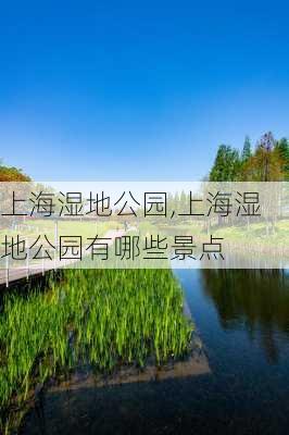 上海湿地公园,上海湿地公园有哪些景点-第1张图片-豌豆旅游网