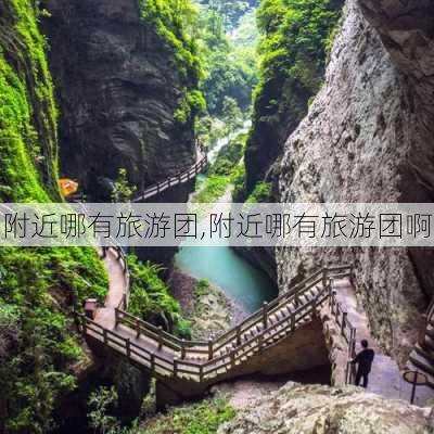 附近哪有旅游团,附近哪有旅游团啊-第3张图片-豌豆旅游网