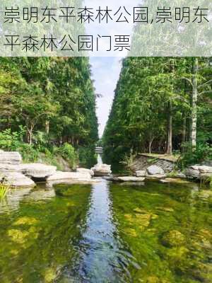 崇明东平森林公园,崇明东平森林公园门票-第3张图片-豌豆旅游网