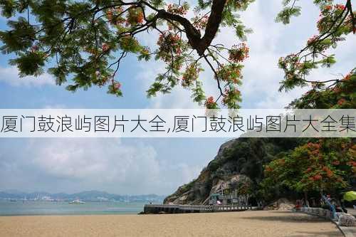 厦门鼓浪屿图片大全,厦门鼓浪屿图片大全集-第3张图片-豌豆旅游网