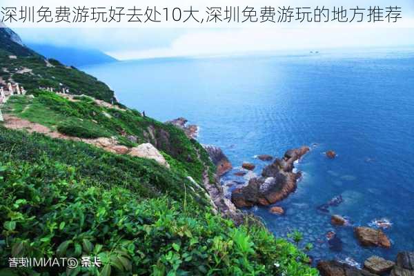 深圳免费游玩好去处10大,深圳免费游玩的地方推荐-第2张图片-豌豆旅游网