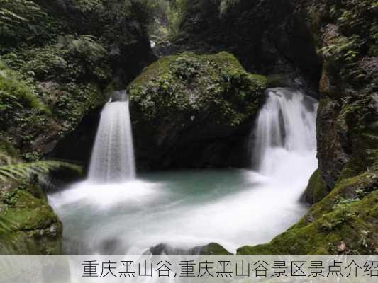 重庆黑山谷,重庆黑山谷景区景点介绍-第1张图片-豌豆旅游网