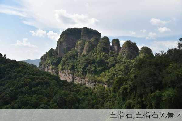 五指石,五指石风景区-第3张图片-豌豆旅游网