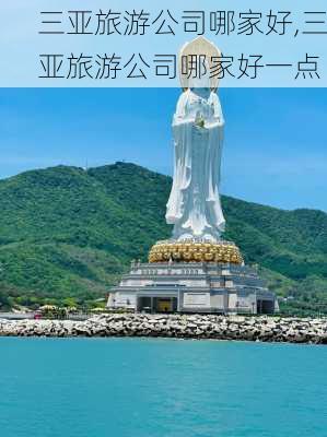 三亚旅游公司哪家好,三亚旅游公司哪家好一点-第3张图片-豌豆旅游网