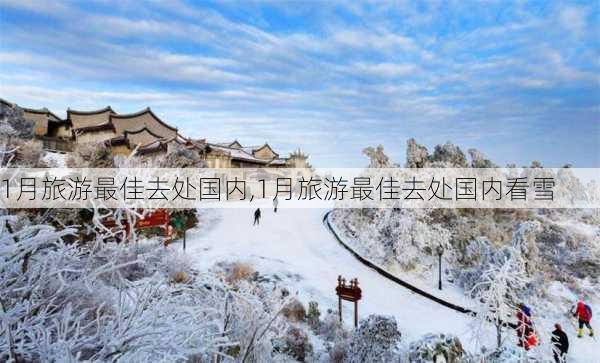 1月旅游最佳去处国内,1月旅游最佳去处国内看雪-第3张图片-豌豆旅游网