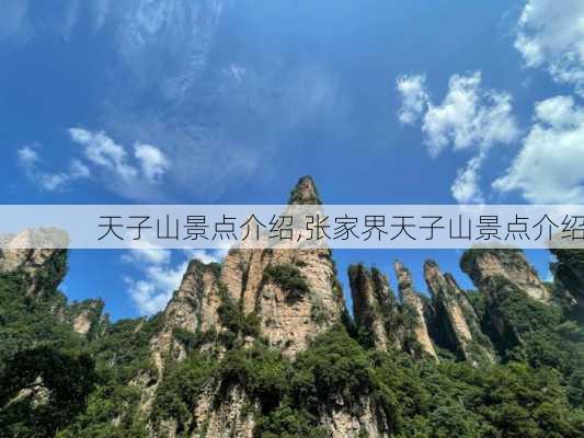 天子山景点介绍,张家界天子山景点介绍